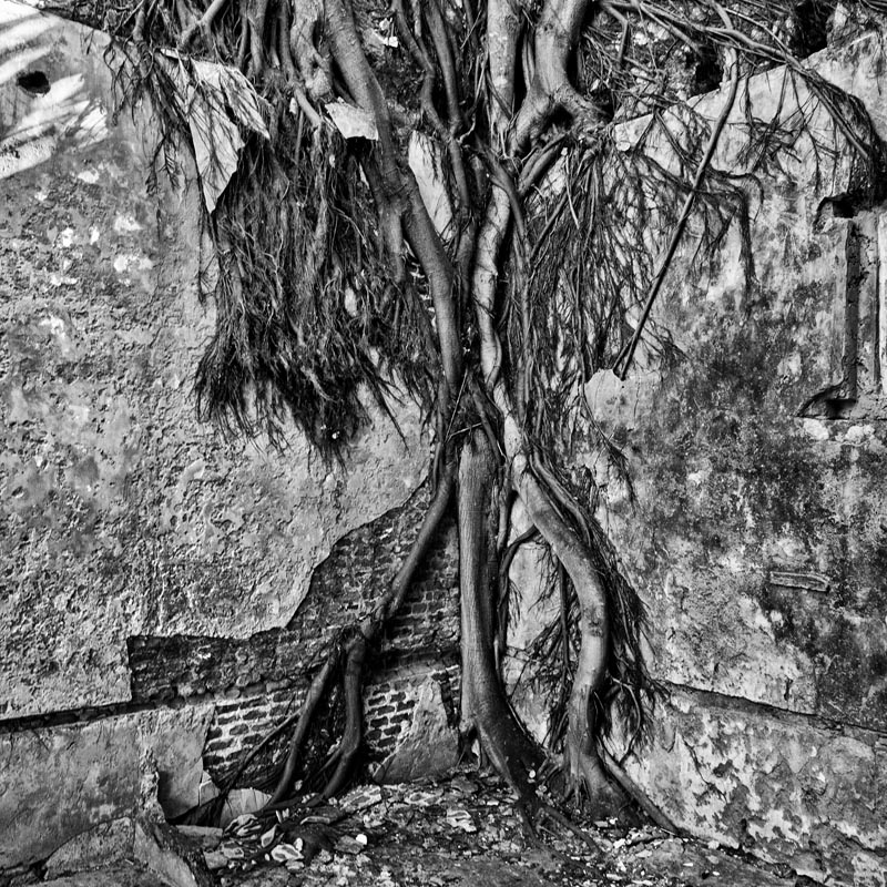 Castiglion Fiorentino Photo Fest autore