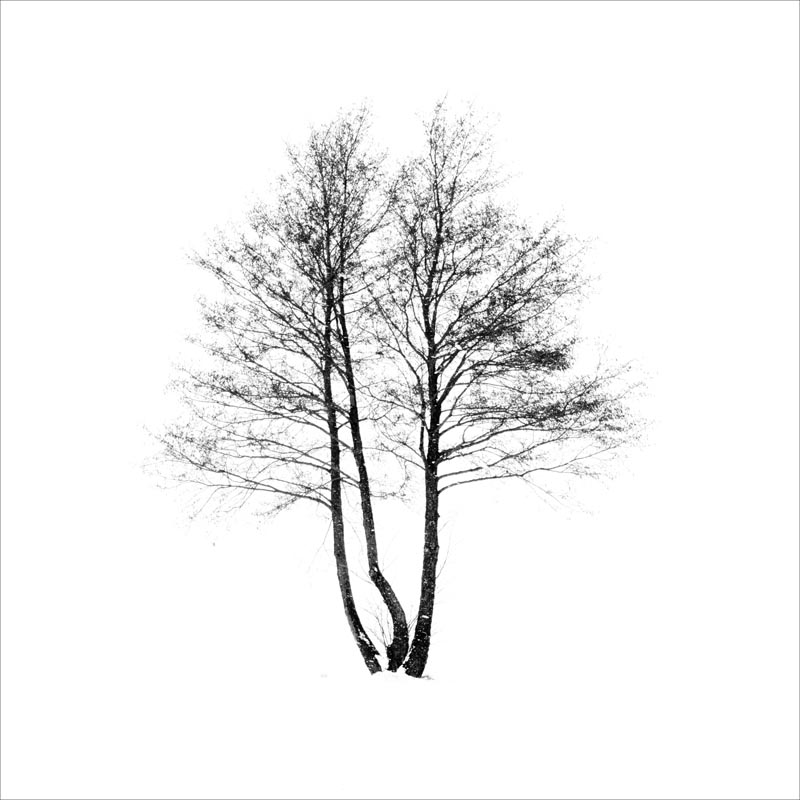 Castiglion Fiorentino Photo Fest autore Ferlicca